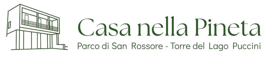 Site Title